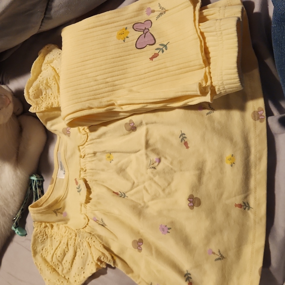 12 month minnie mouse set